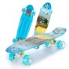 22'' Skateboard with LED Flashing Wheel